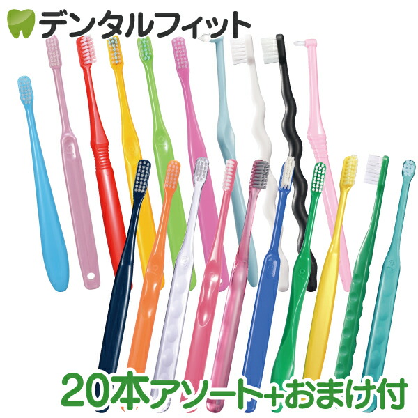楽天市場】補綴修復用顎模型 (NISSIN DENTAL MODEL) (D16FE-500A(GSF