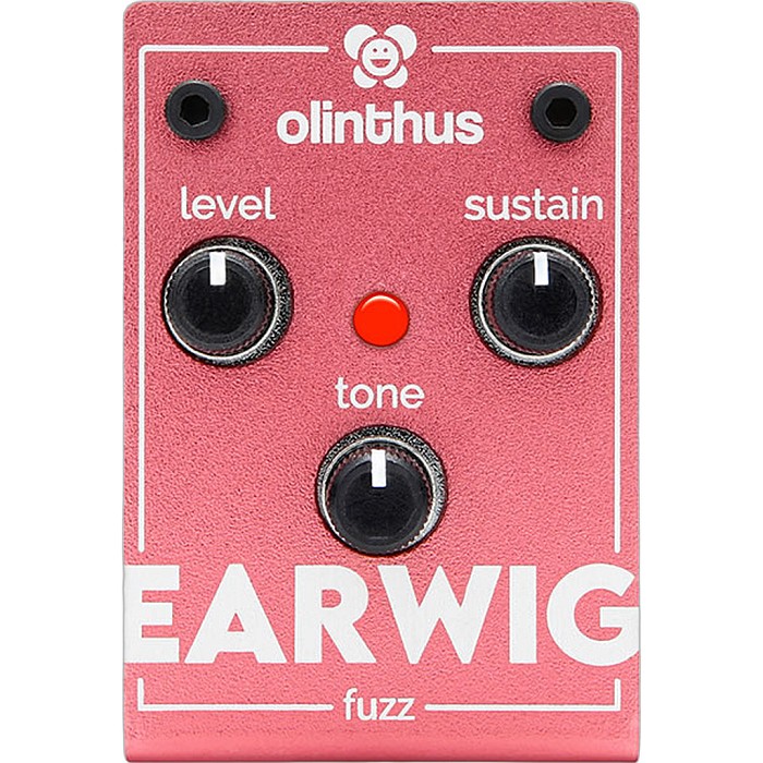 楽天市場】olinthus EARWIG Fuzz オリンサス ファズ : ギターパーツの