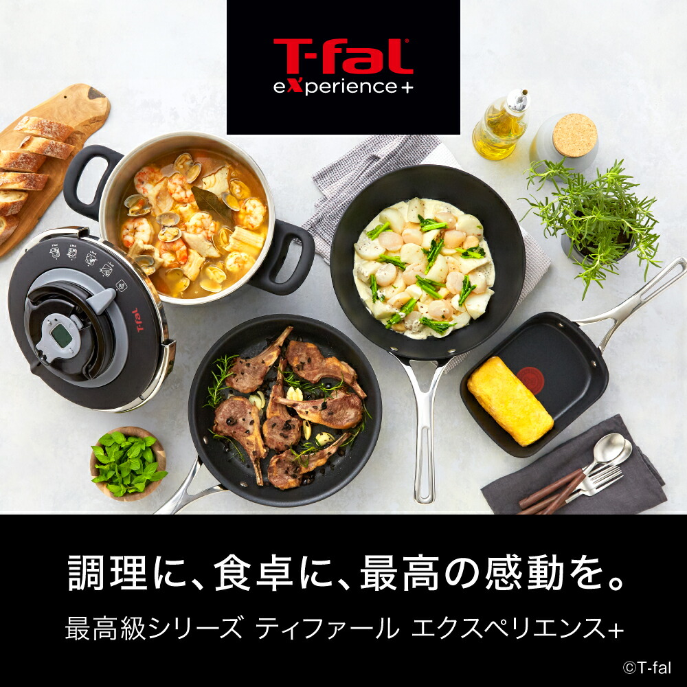 楽天市場】ティファール T-fal IH対応 ガス ガス火 直火 兼用