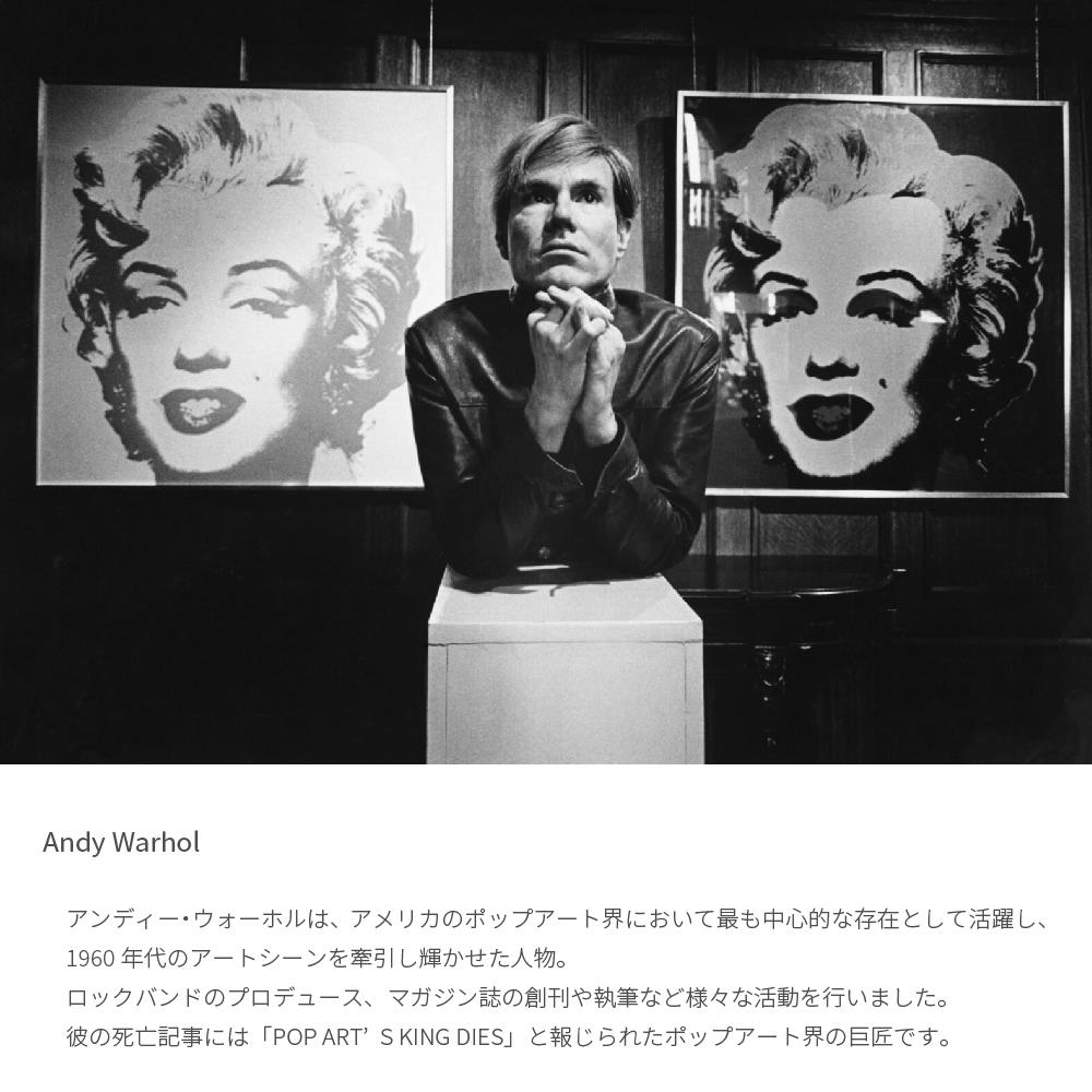 楽天市場】アートパネル アンディーウォーホル 62.5×52.5cm 絵画