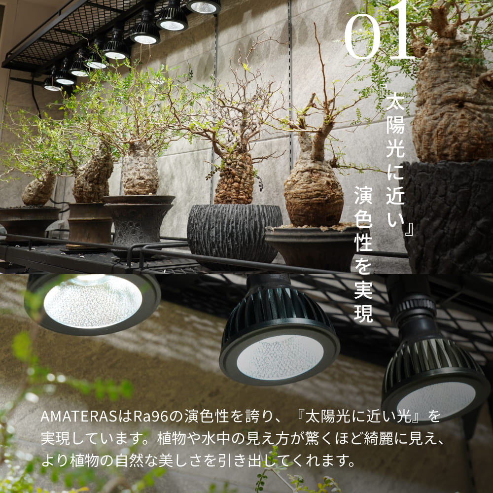 楽天市場】【3年保証】BARREL公式 植物育成LEDライト【AMATERAS-10W