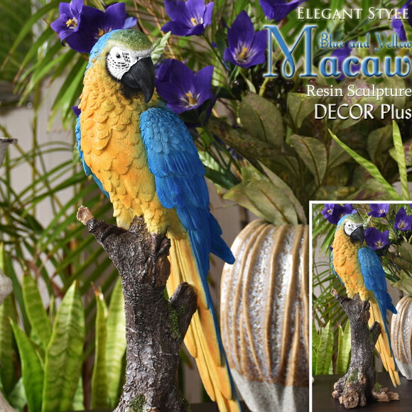 楽天市場】Blue-and-Yellow Macaw ルリコンゴウインコ 造形が美しい鳥