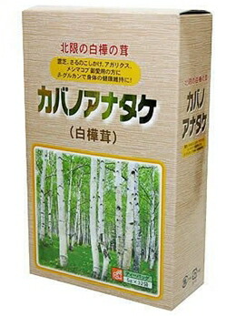 楽天市場】カバノアナタケ（白樺茸）5g×32袋 : ノースウェブ