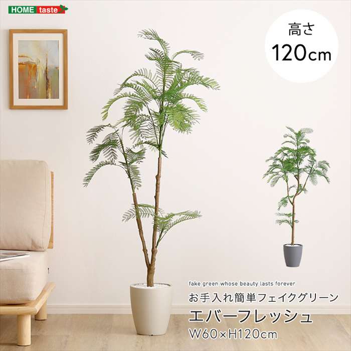 エバーフレッシュ」の人気商品一覧 | 安い商品を通販サイトから探す