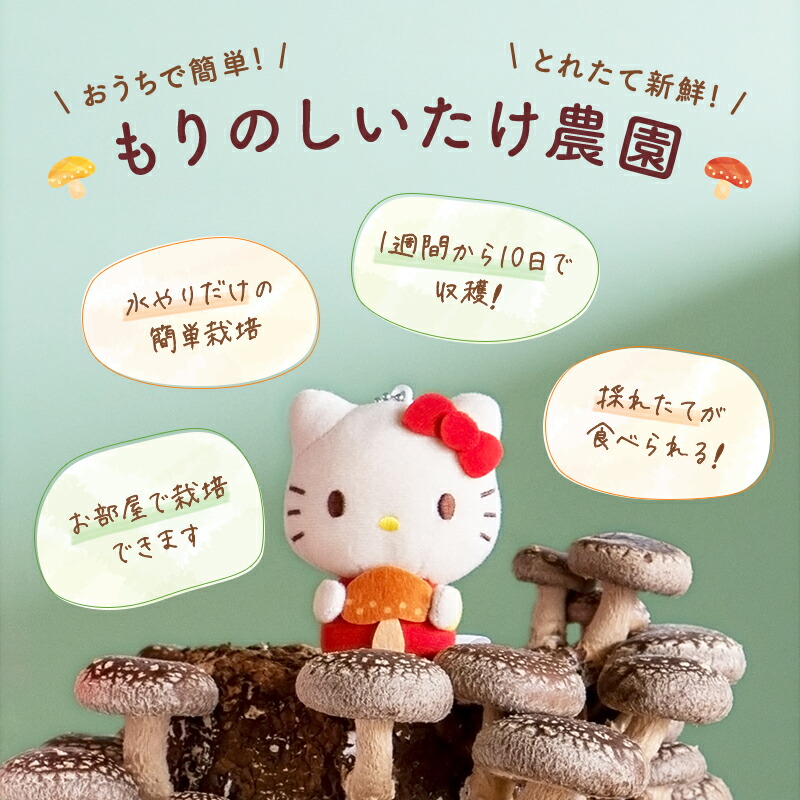楽天市場】【在庫限り！49%OFF】もりのしいたけ農園×HELLO KITTY
