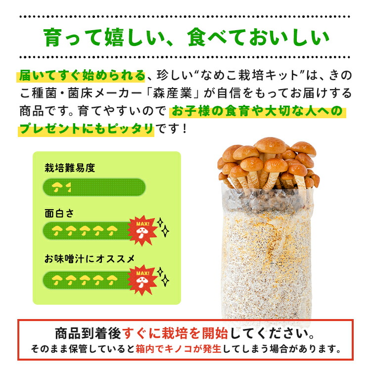 楽天市場】なめこ栽培キット もりのなめこ農園 | なめこ ナメコ 家庭