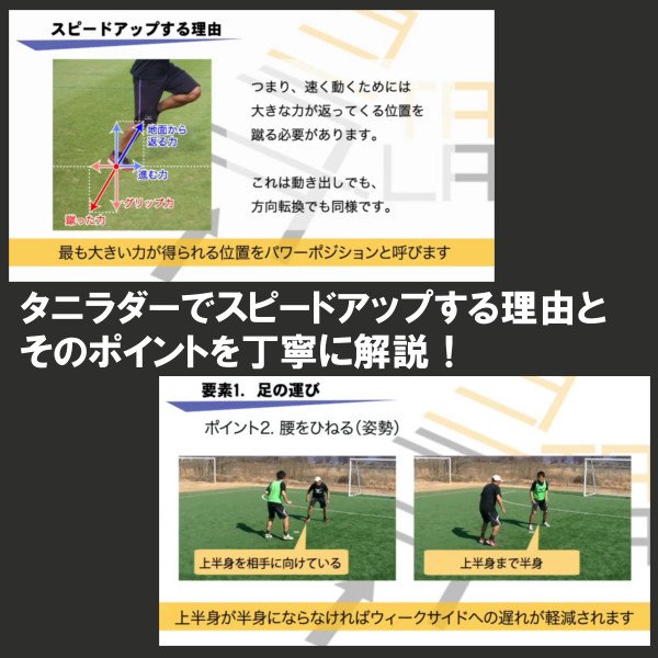 楽天市場】タニラダーベーシック シングルセット（サッカー版）DVD