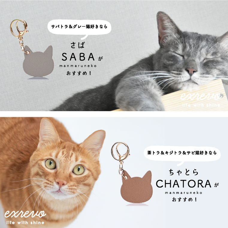 じゃれねこちゃんとスケボー キーホルダー とらねこ じゃれねこ