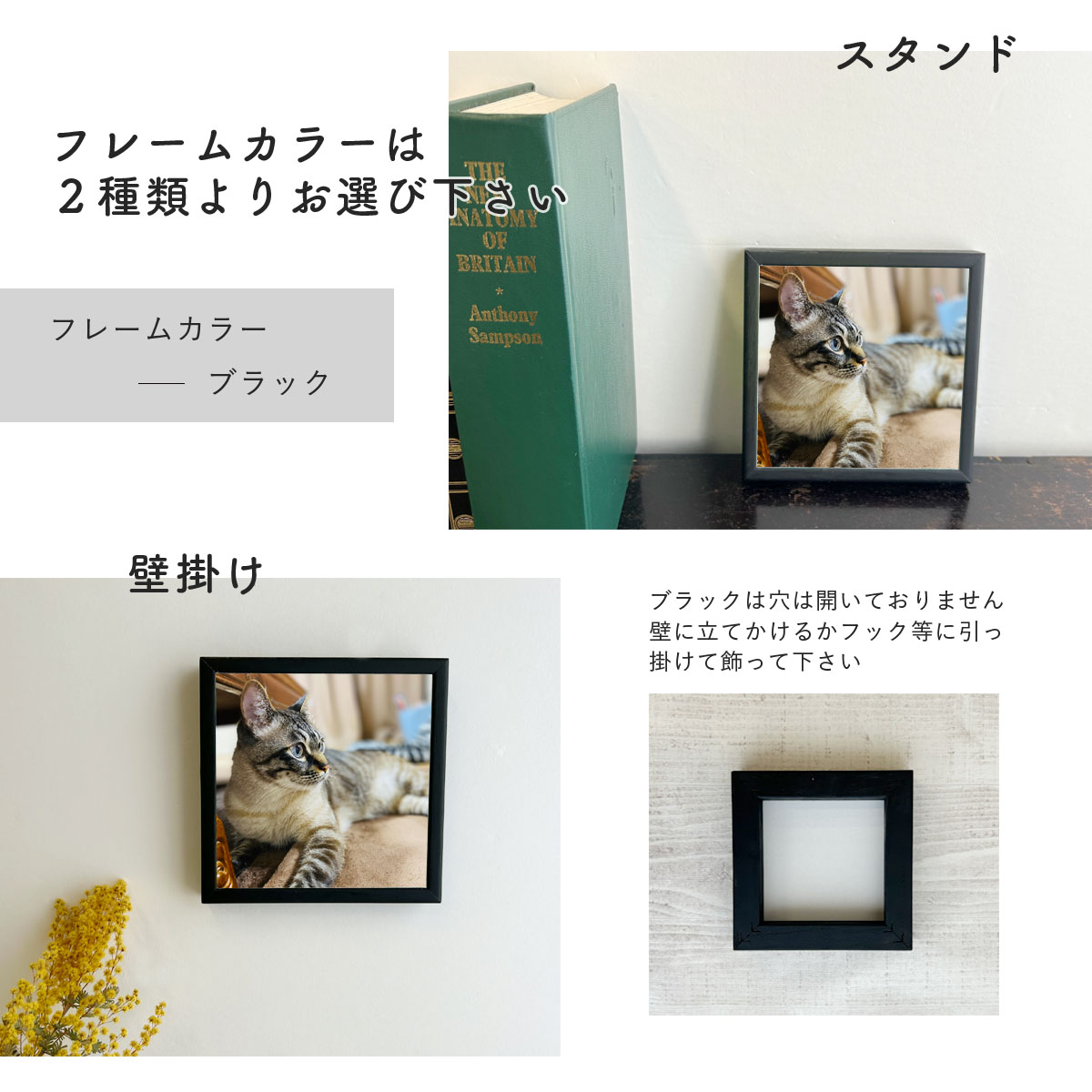 楽天市場】《最大2000円OFF クーポン発行中&P5倍》送料無料