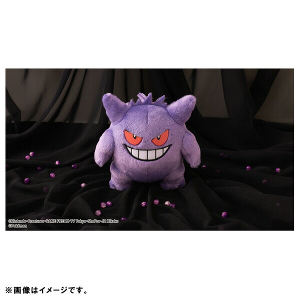 楽天市場】タカラトミーアーツ ポケットモンスター キミにきめた