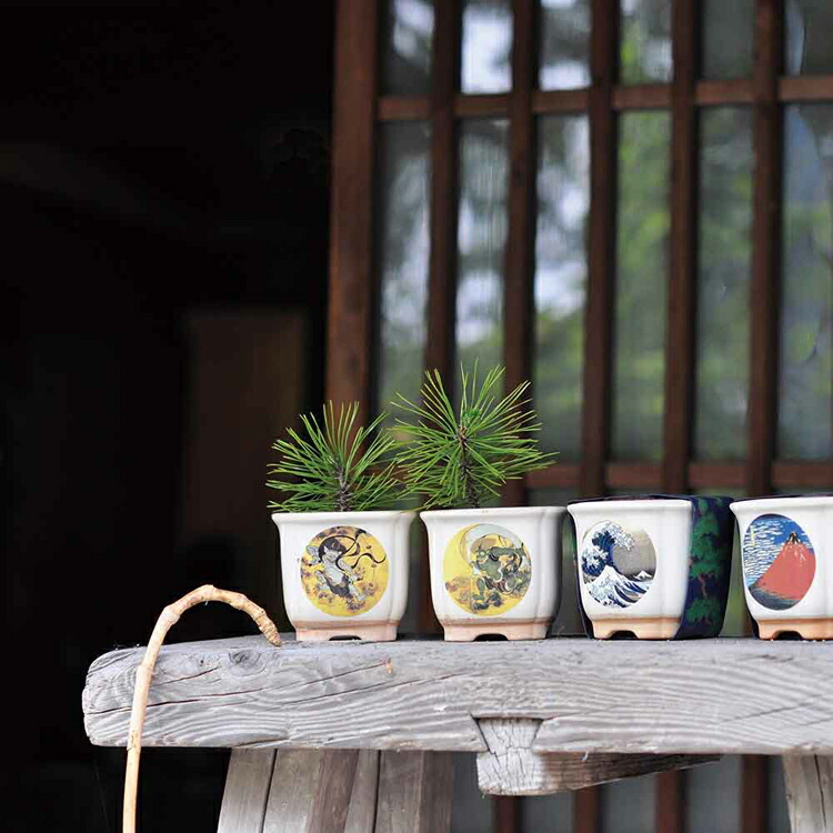 楽天市場】[最大250円OFFクーポン/新生活フェア] 【4種セット