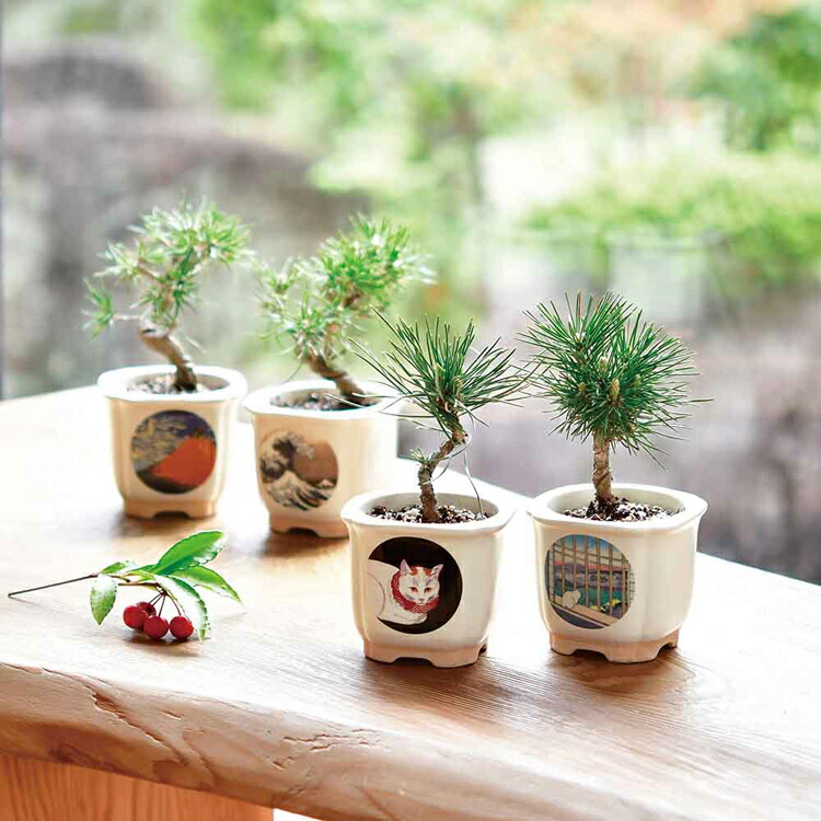 楽天市場】[最大250円OFFクーポン/新生活フェア] 【4種セット