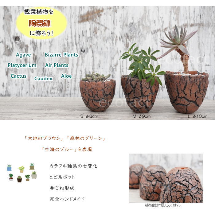 楽天市場】陶器鉢 植木鉢 ミニポット 底穴あり アース 茶 L φ10cm 日本