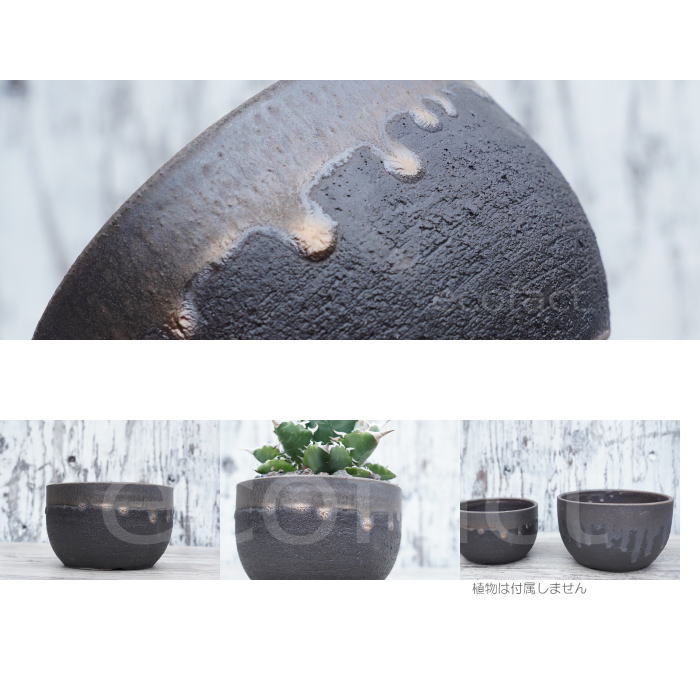 楽天市場】陶器鉢 植木鉢 5号 丸型 金彩 ゴールド/ブラック おしゃれ