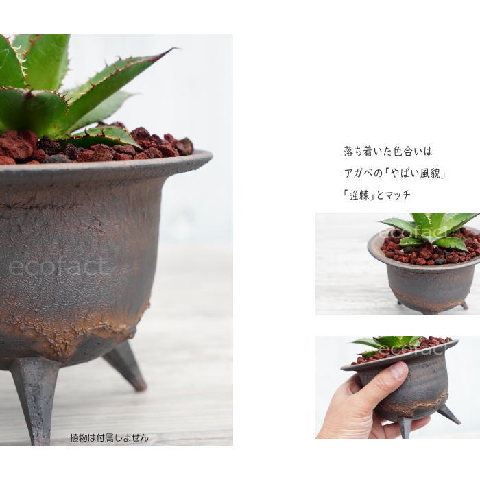 楽天市場】陶器鉢 植木鉢 高足型S 金彩 ゴールド/ブラック おしゃれ