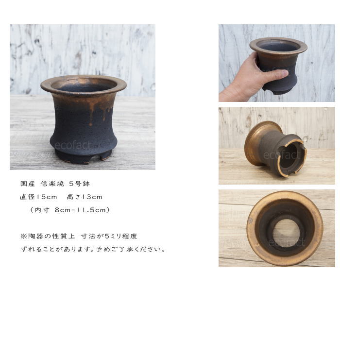 楽天市場】かっこいい 陶器鉢 植木鉢 5号 底穴あり 金彩高脚 ブラック