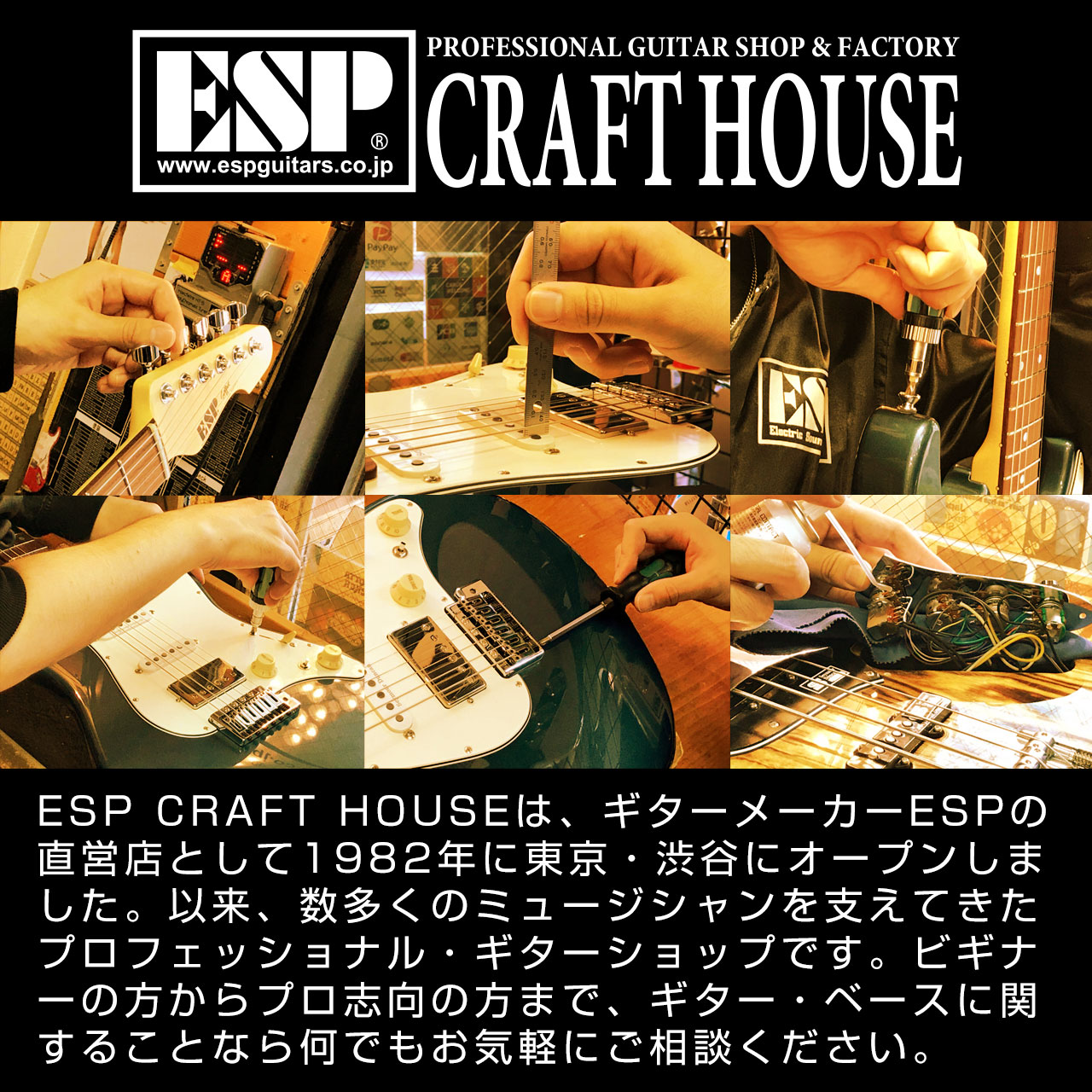 楽天市場】【ESP直営店】【受注生産商品】Killer CRIMINAL BASS用