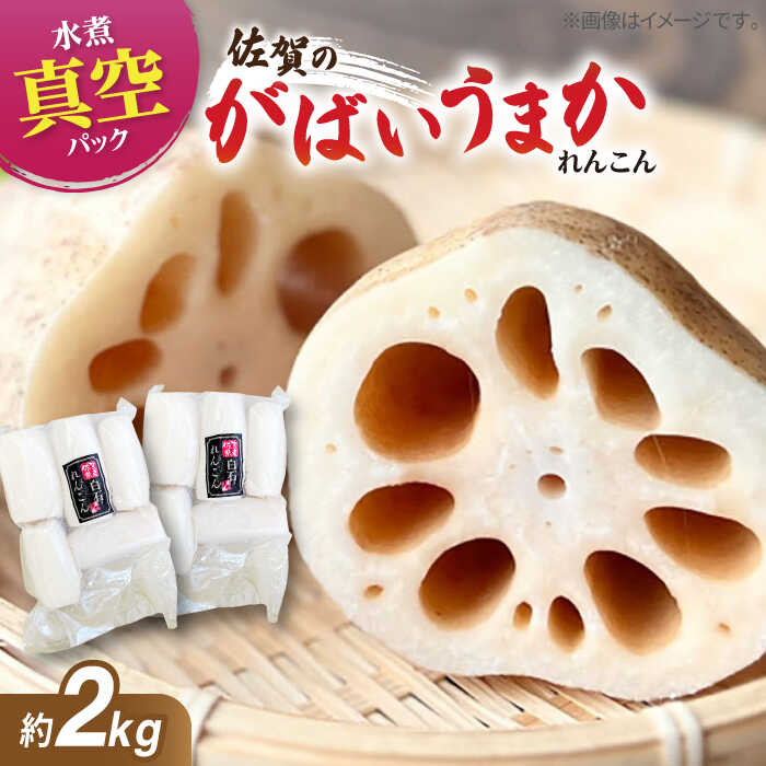 楽天市場】【ふるさと納税】【お手軽調理！】 水煮れんこん 計2kg