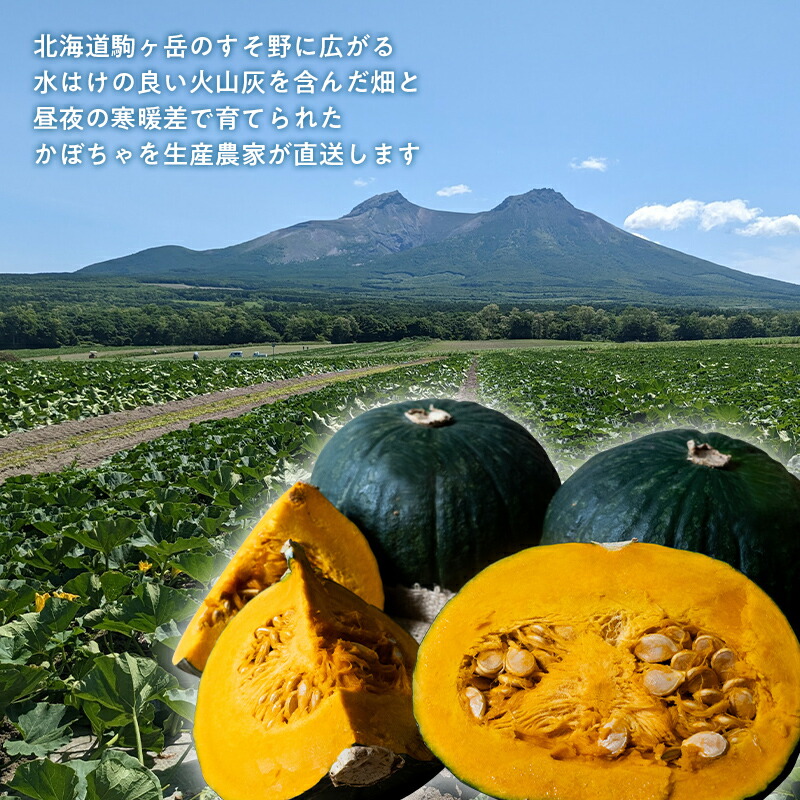 楽天市場】【ふるさと納税】 【選べる容量】 【先行予約】みやこ