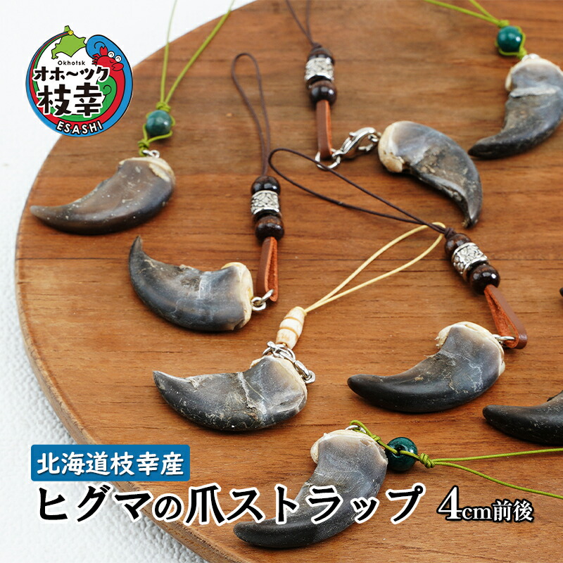 楽天市場】【ふるさと納税】北海道枝幸産 ヒグマの爪ストラップ 4cm