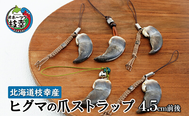 楽天市場】【ふるさと納税】北海道枝幸産 ヒグマの爪ストラップ 4.5cm