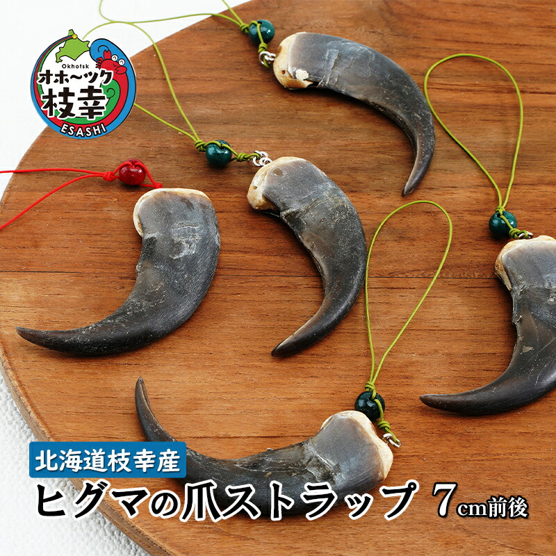 大人気 本物ヒグマの爪 親子2点セット sd1_fb95fa5a5a1a81066a12fbd646