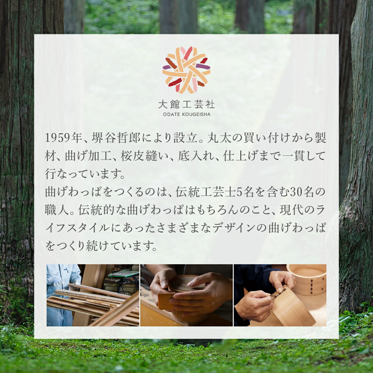 楽天市場】【ふるさと納税】小判弁当 ふきうるし塗【仕切付】（大・中