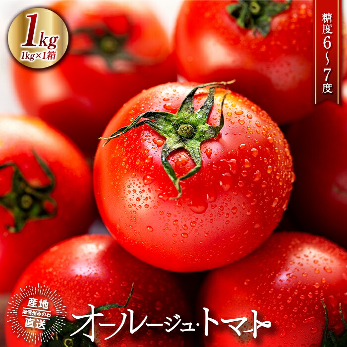 楽天市場】【ふるさと納税】トマト 長野 オールージュトマト 1kg 野菜