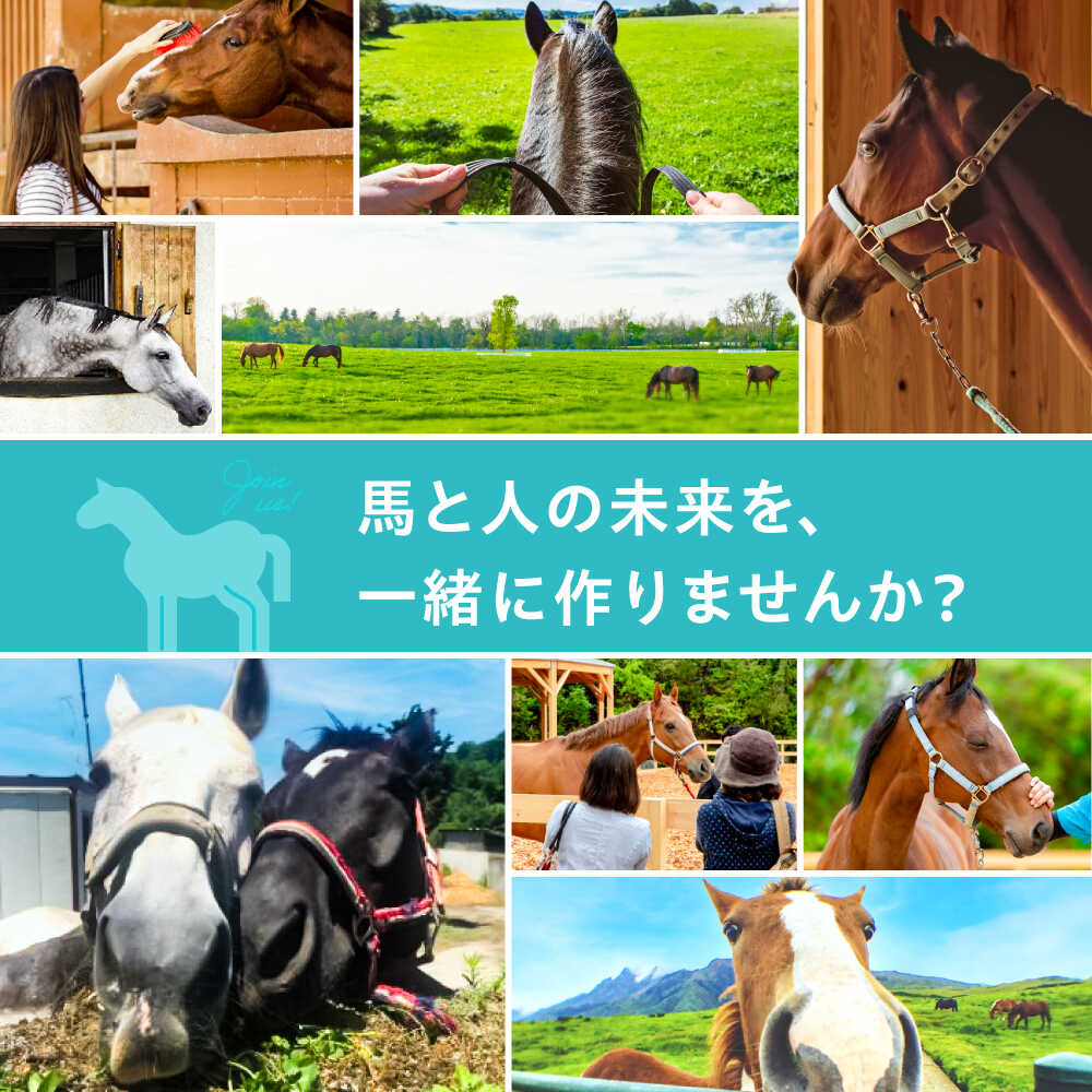 楽天市場】【ふるさと納税】TCCセラピーパーク施設見学 ＆ ふれあい
