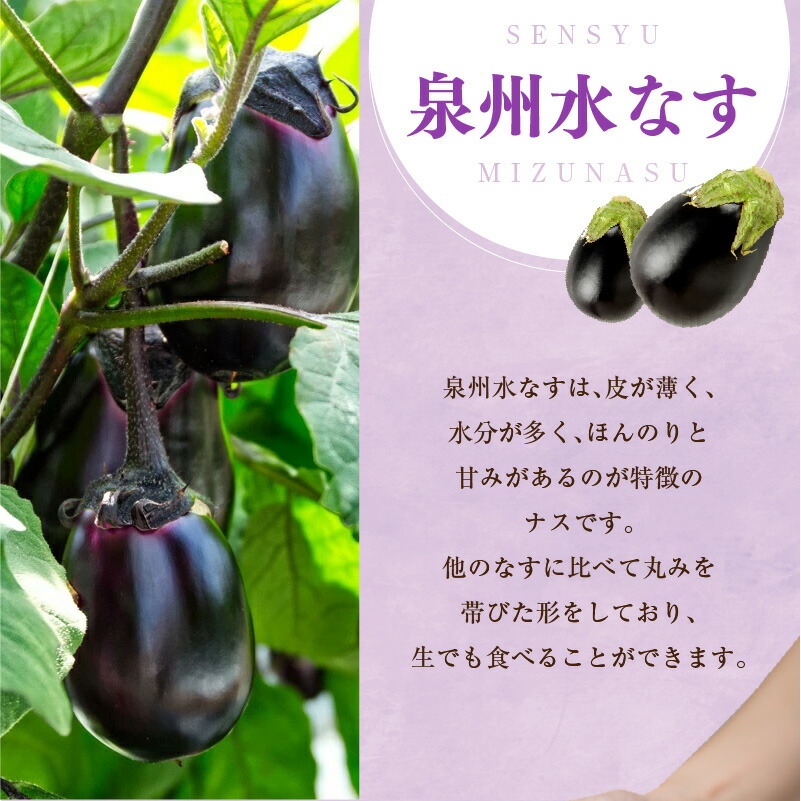 楽天市場】【ふるさと納税】【先行予約】 水なす漬け 2個 徳用 水なす