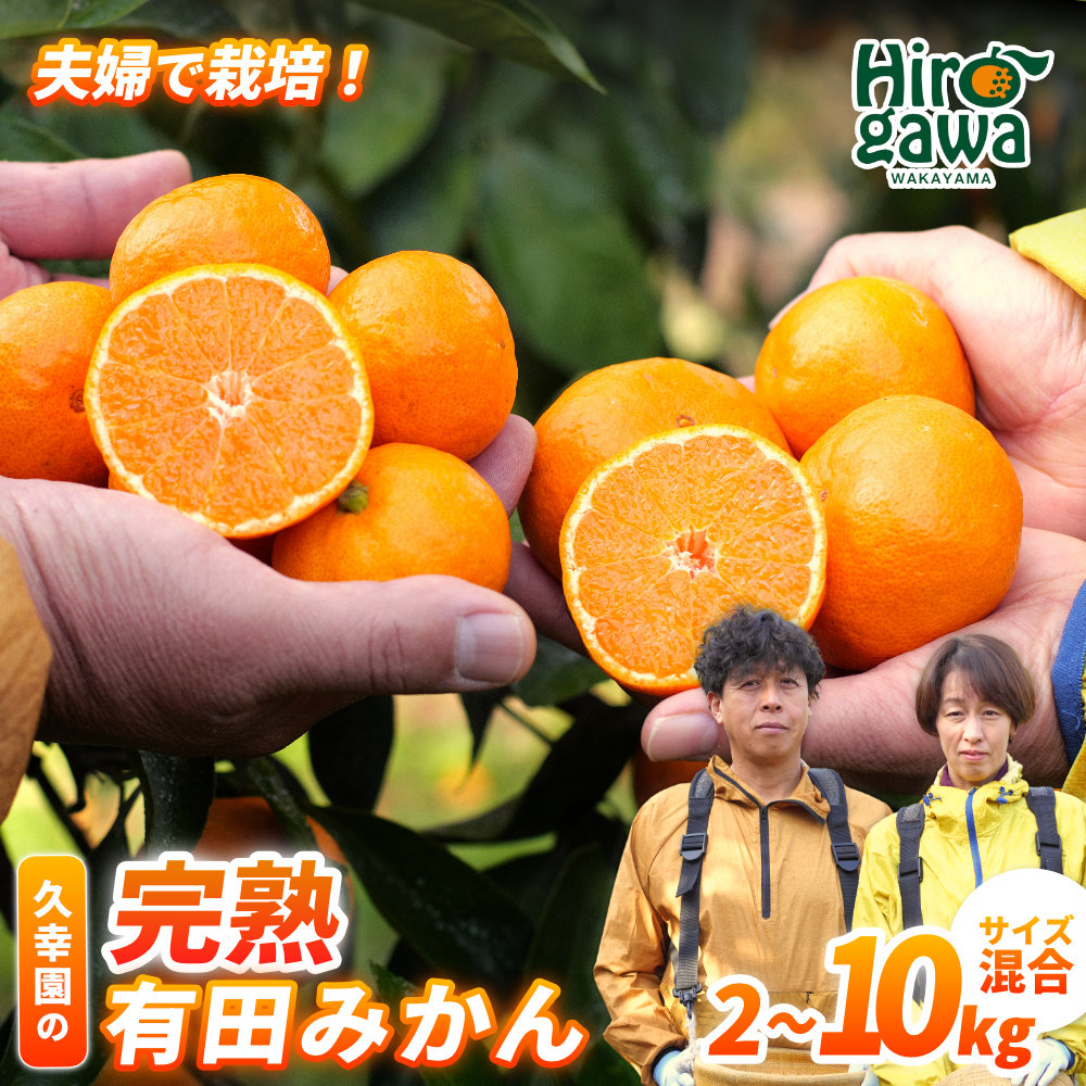楽天市場】【ふるさと納税】 完熟 有田 みかん サイズ混合 久幸園