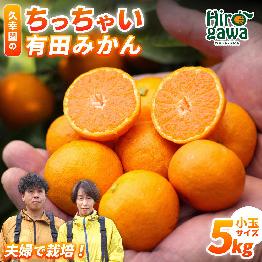 楽天市場】【ふるさと納税】 ちっちゃい 有田 みかん 久幸園 / 温州