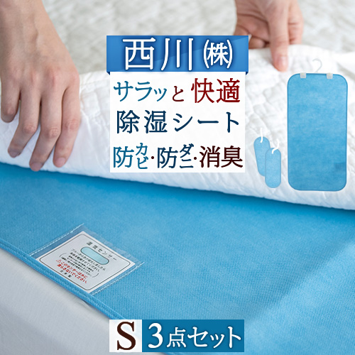 楽天市場】クリアランス☆最大2万円OFFクーポン 除湿シート シングル