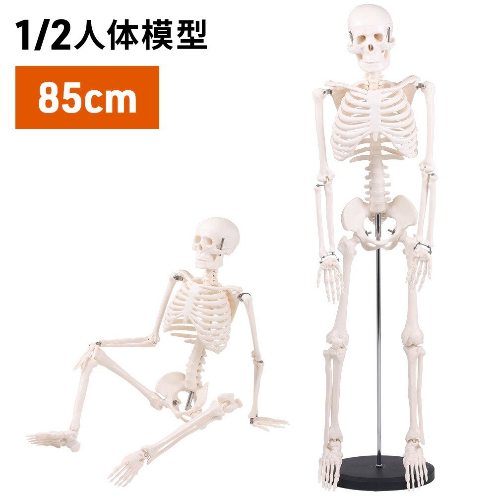 et003446_main.jpg