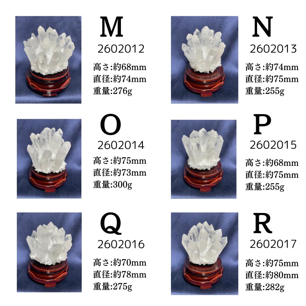 楽天市場】＼まもなく終了！最大20%OFF！／ 【再入荷・早い者勝ち