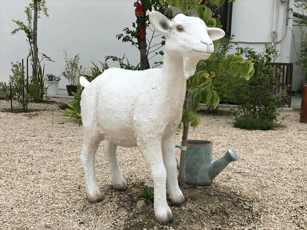 fr100044_8.jpg