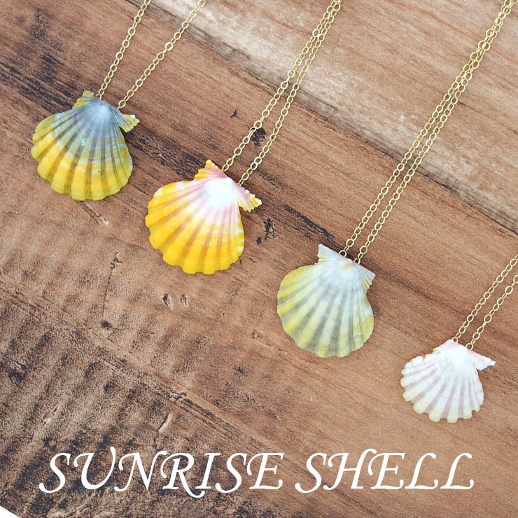 楽天市場】サンライズシェル ハワイの希少なサンライズシェルを使用