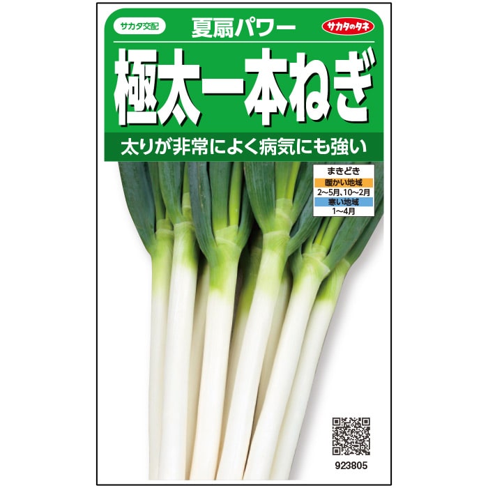 楽天市場】ネギ 種 夏扇パワー 一本ネギ 【ペレット6000粒】 大袋 営利