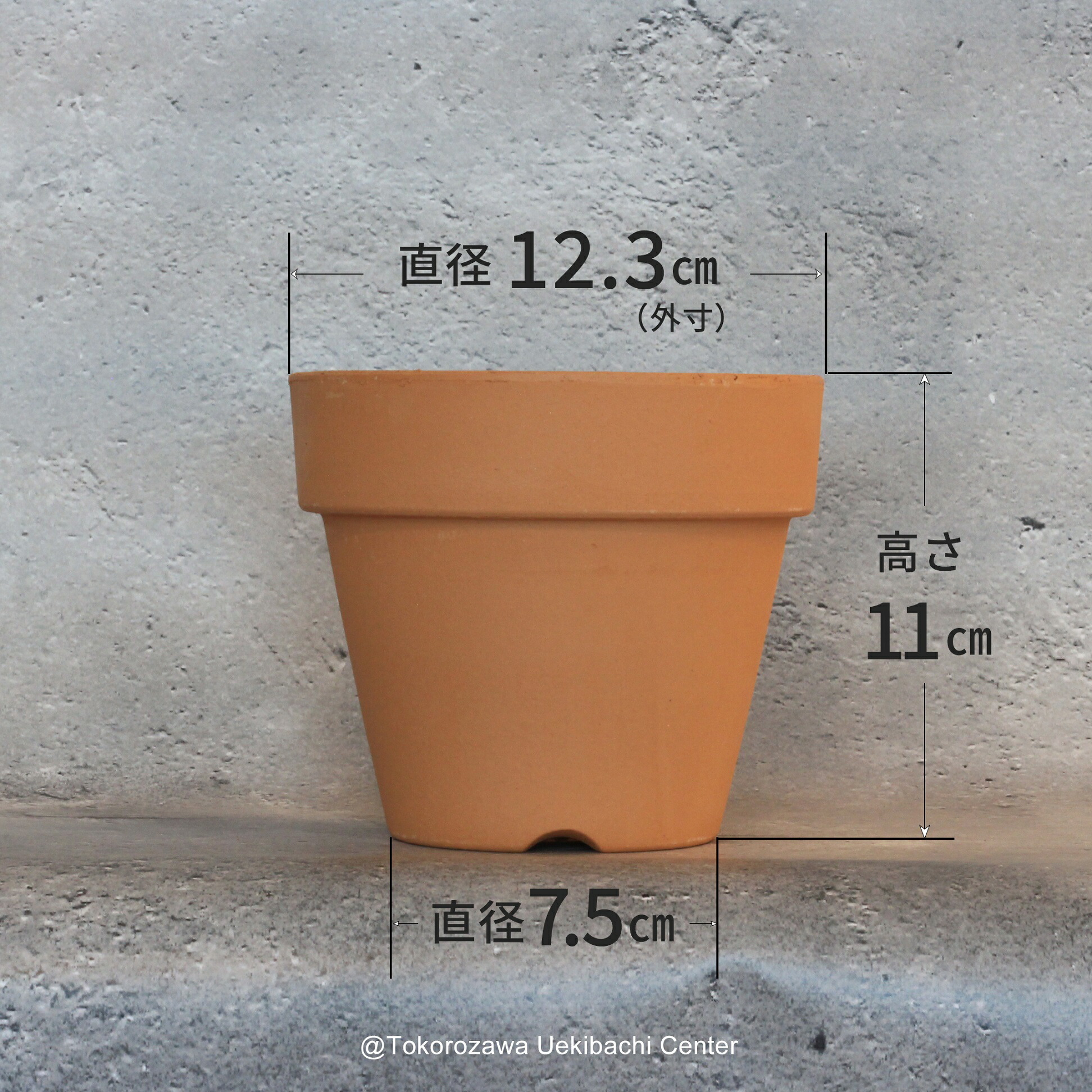 楽天市場】洋蘭 素焼き鉢 4．0号 1枚 プランター 植木鉢 鉢 蘭 らん