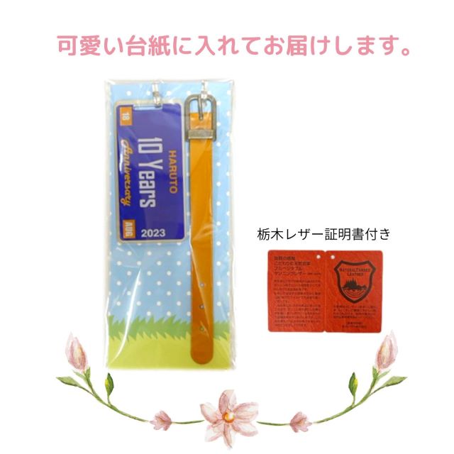 楽天市場】アメリカン ナンバープレート ラゲッジタグ トラベル