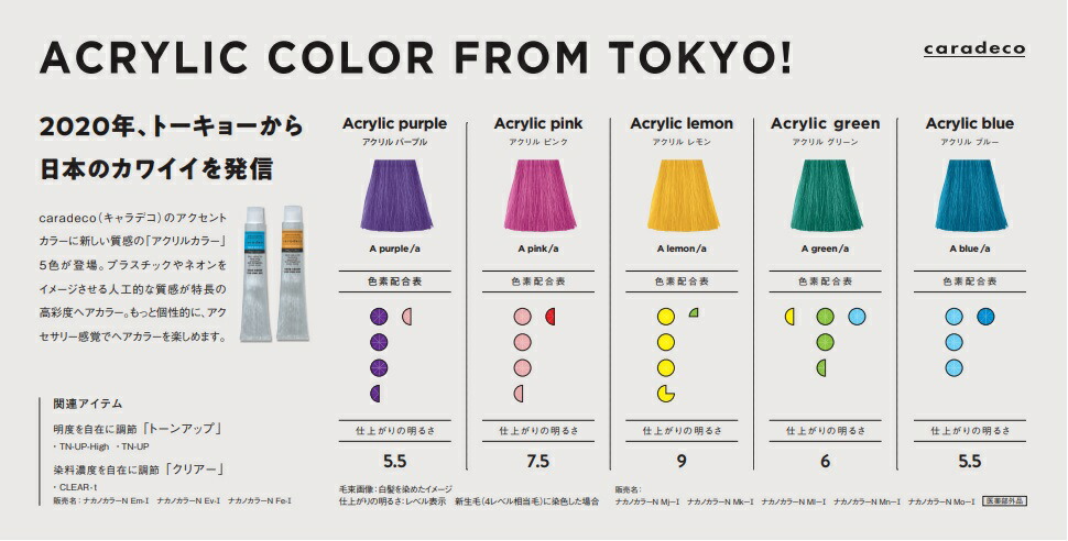 楽天市場】【送料無料】※定形外普通郵便 ナカノ キャラデコ アクセント