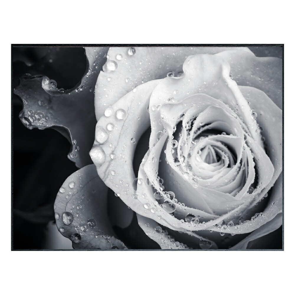 油絵 菅家令子 絵 絵画 インテリア uF6-071002 花 ばら 油絵 菅家令子