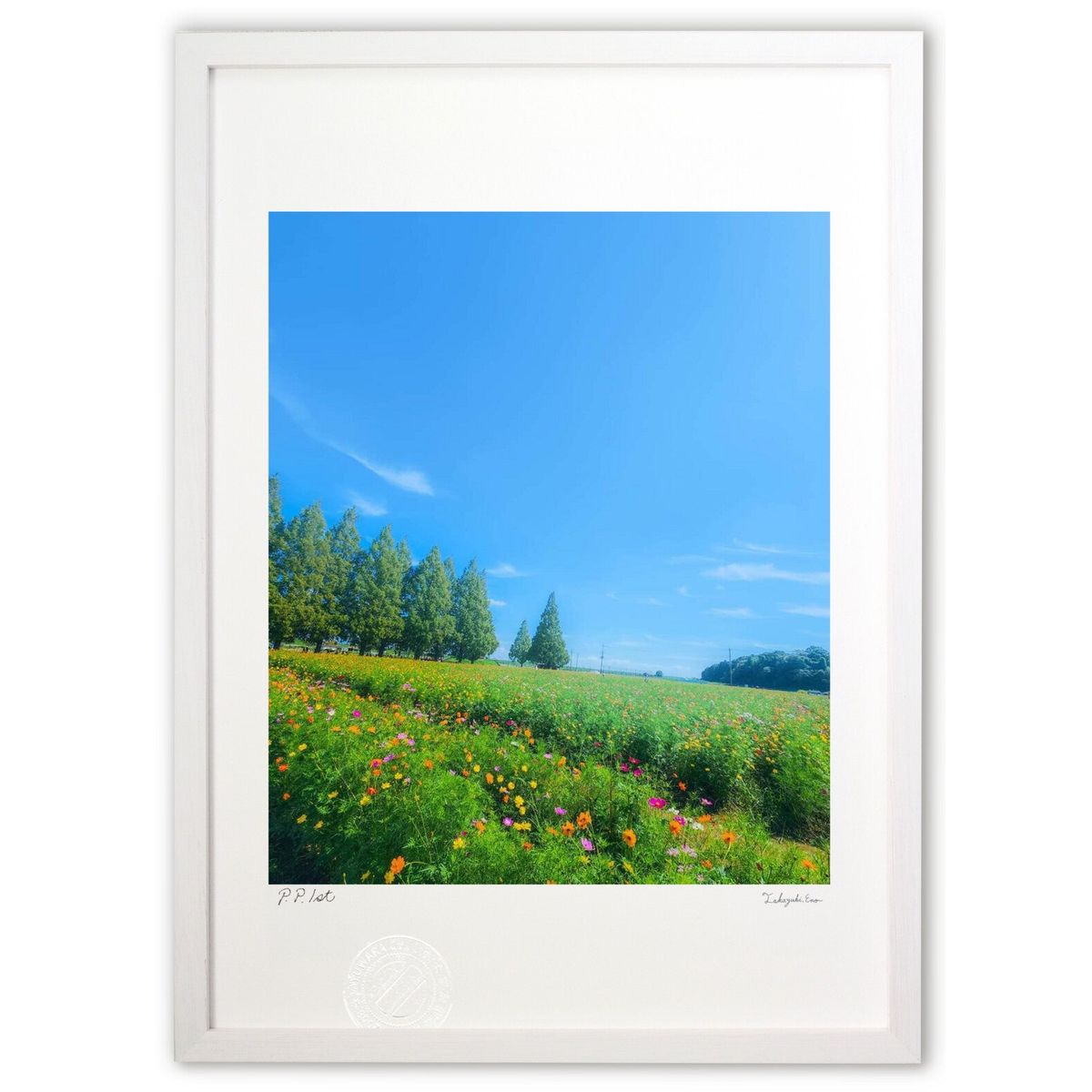 コスモス 絵画 風景」の人気商品一覧 | 安い商品を通販サイトから探す