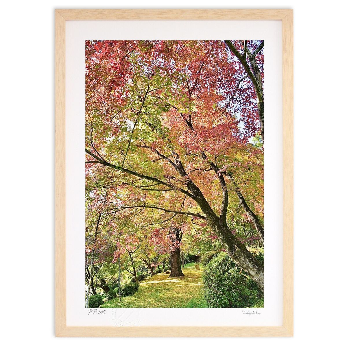 紅葉 絵画 風景画」の人気商品一覧 | 安い商品を通販サイトから探す