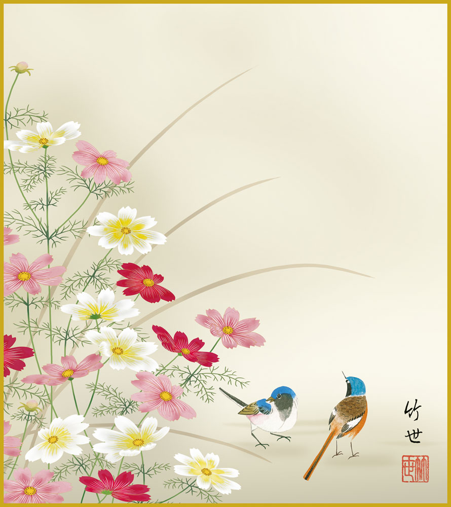 楽天市場】色紙 色紙掛けなし 色紙絵 和風 秋桜 田村竹世 モダン 掛軸
