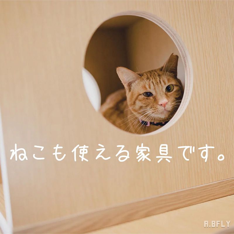 楽天市場】【日本製】キャットトイレクローゼット ディスプレイラック