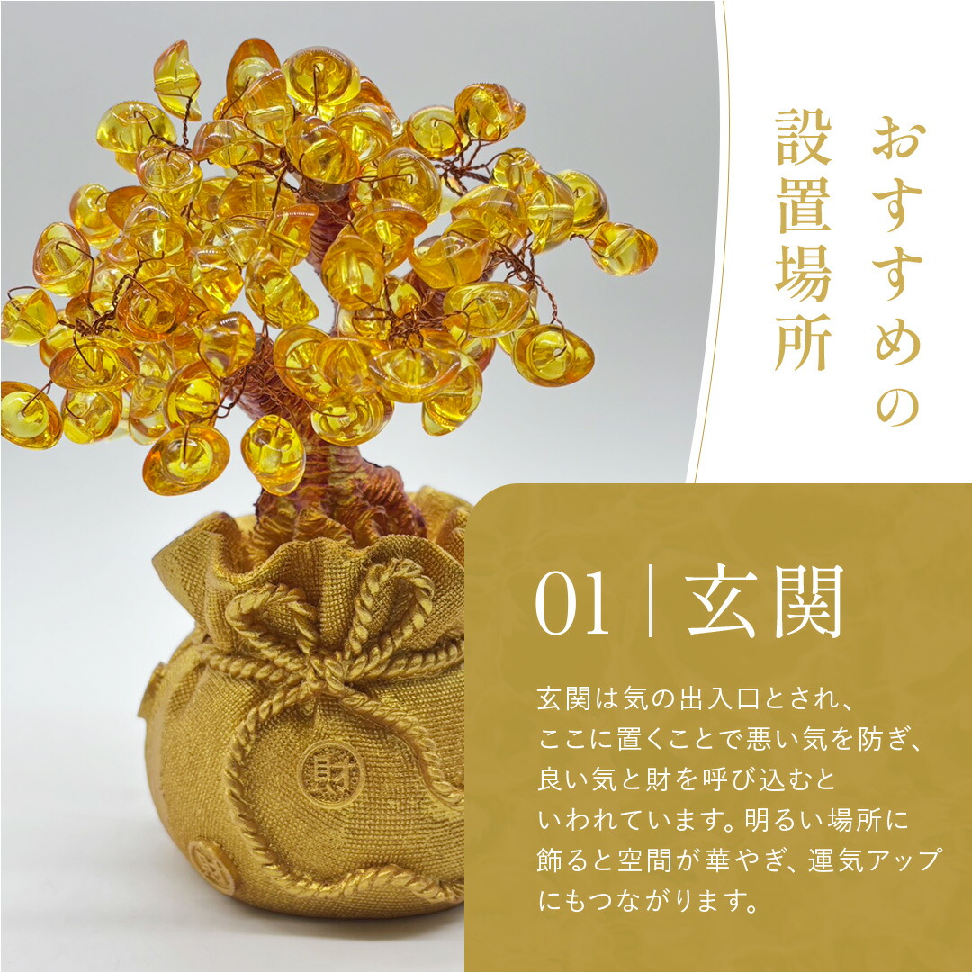 楽天市場】【ランキング1位6冠達成】風水 黄金木 招財樹 金のなる木 黄