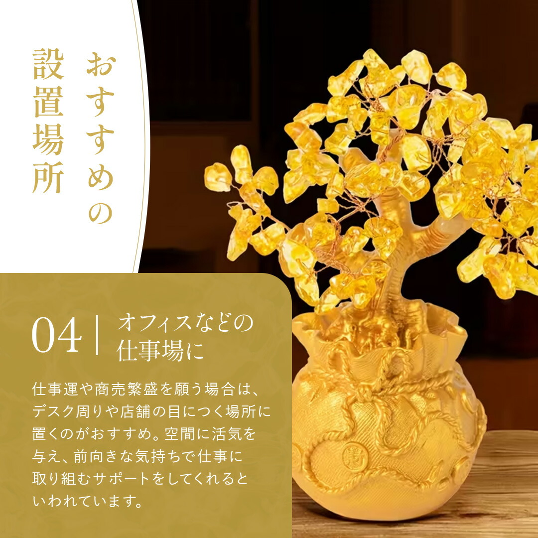 楽天市場】【ランキング1位6冠達成】風水 黄金木 招財樹 金のなる木 黄