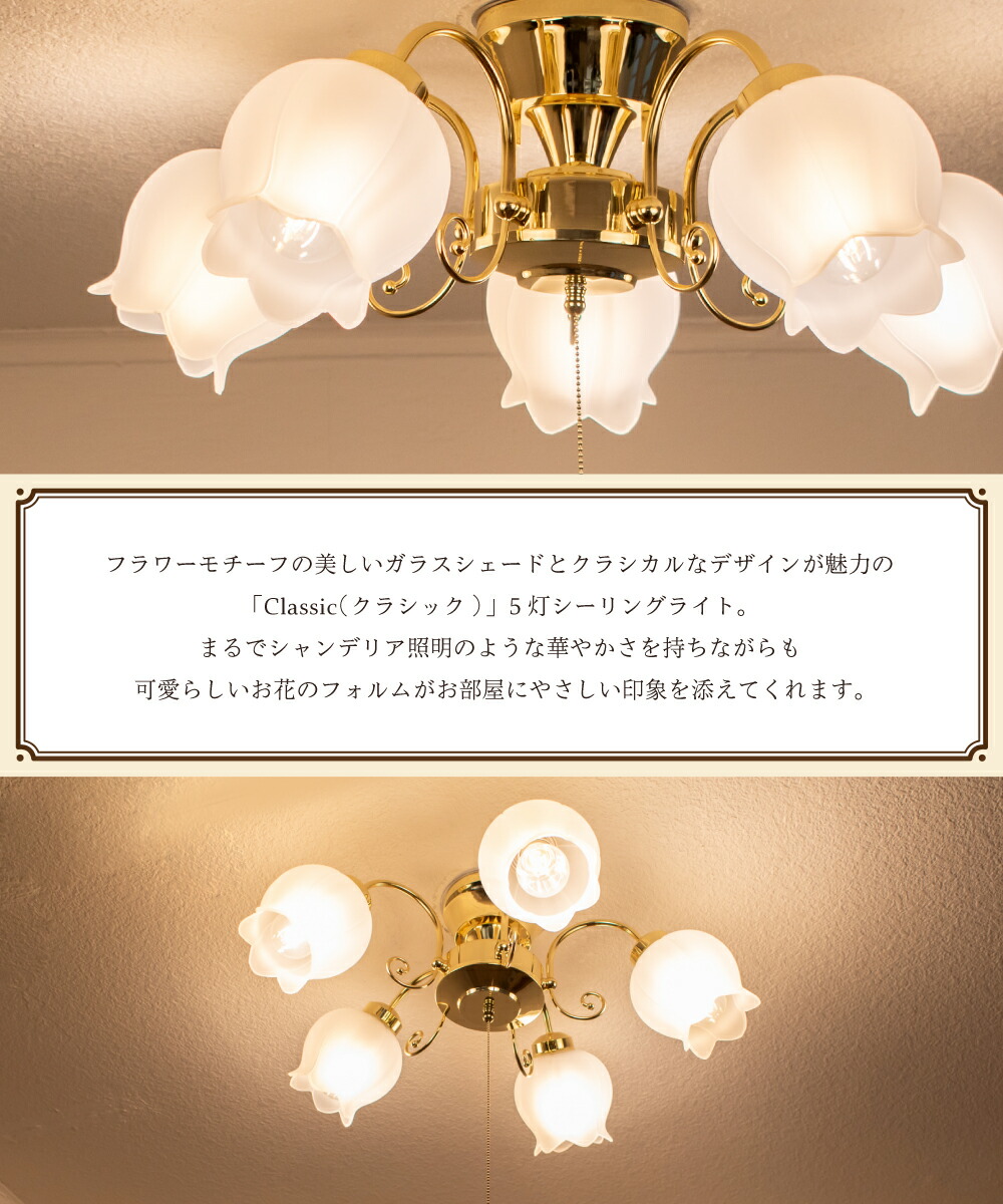 classical_5c_gd-02.jpg