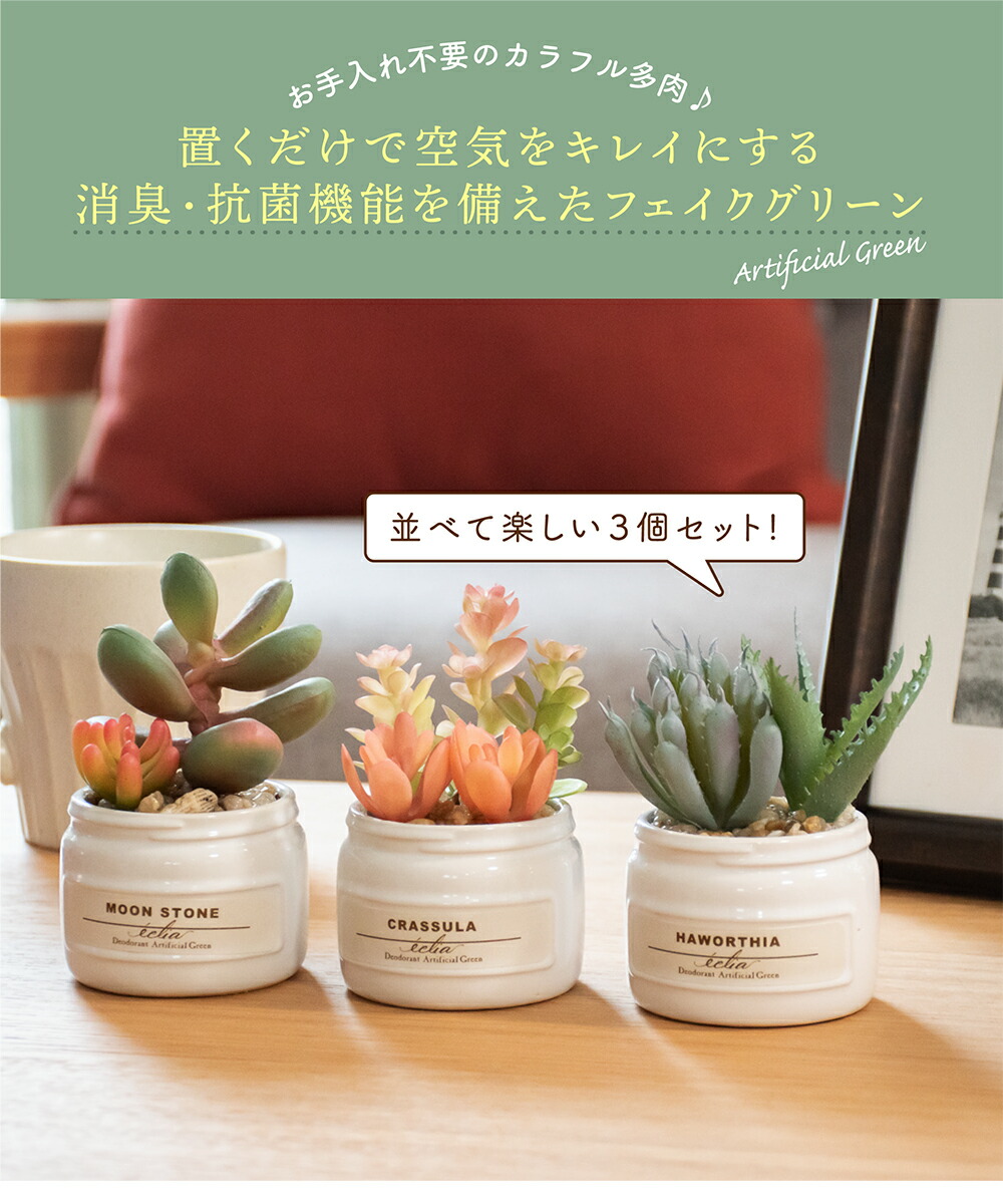 楽天市場】フェイクグリーン 多肉植物 寄せ植え 人工観葉植物 造花